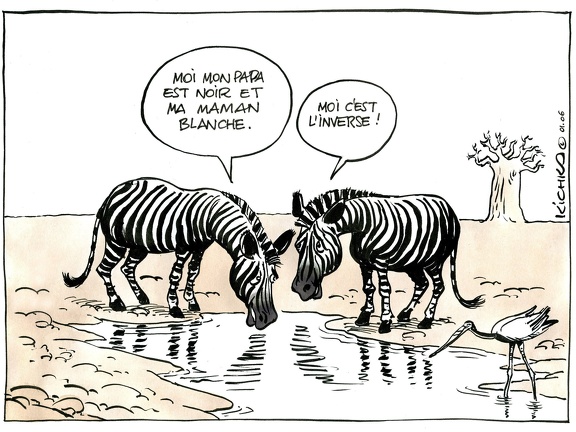 04/2007 - O.N.U Dessins pour la Paix